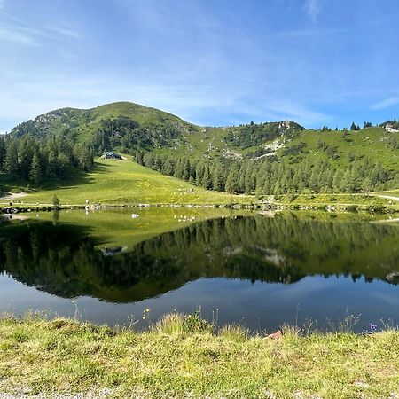 Apartament Flatzerhof Haus im Ennstal Zewnętrze zdjęcie
