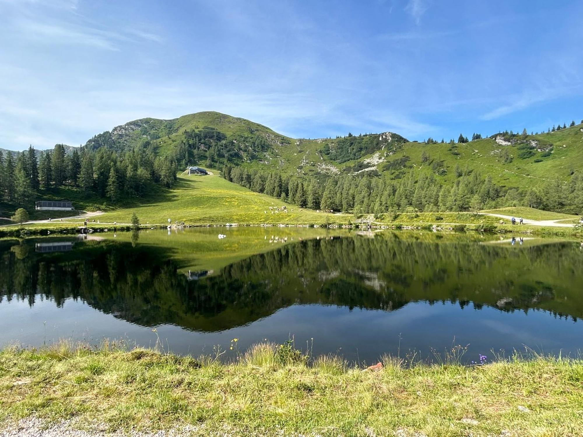 Apartament Flatzerhof Haus im Ennstal Zewnętrze zdjęcie